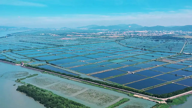 图一-.png 金贝官网