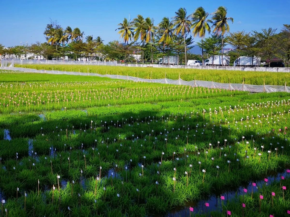 微信图片_20230504140252.jpg 金贝官网