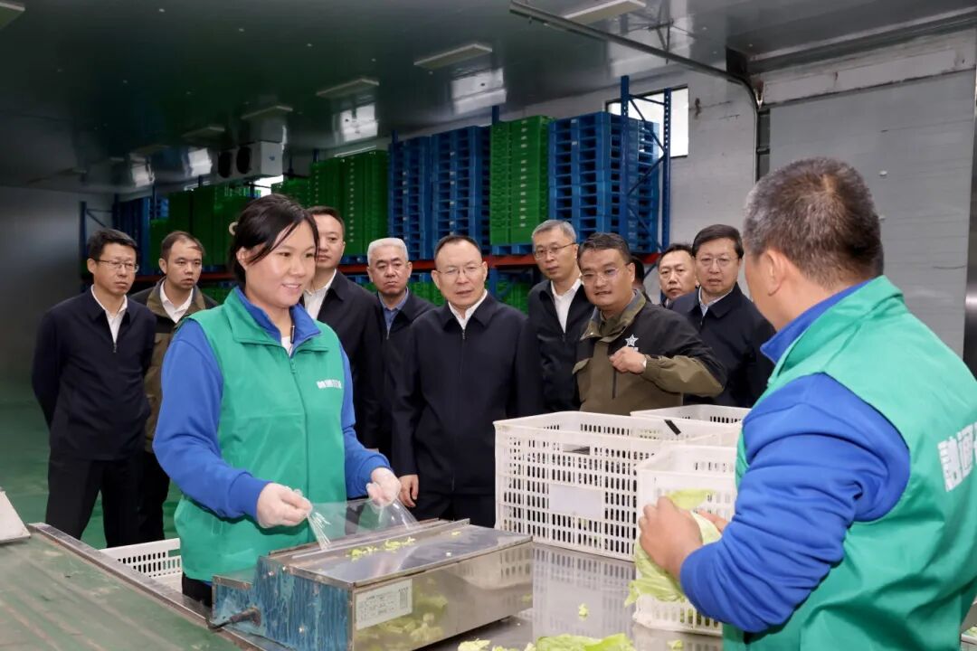 微信图片_2025-10-15_213755_169.jpg 金贝官网