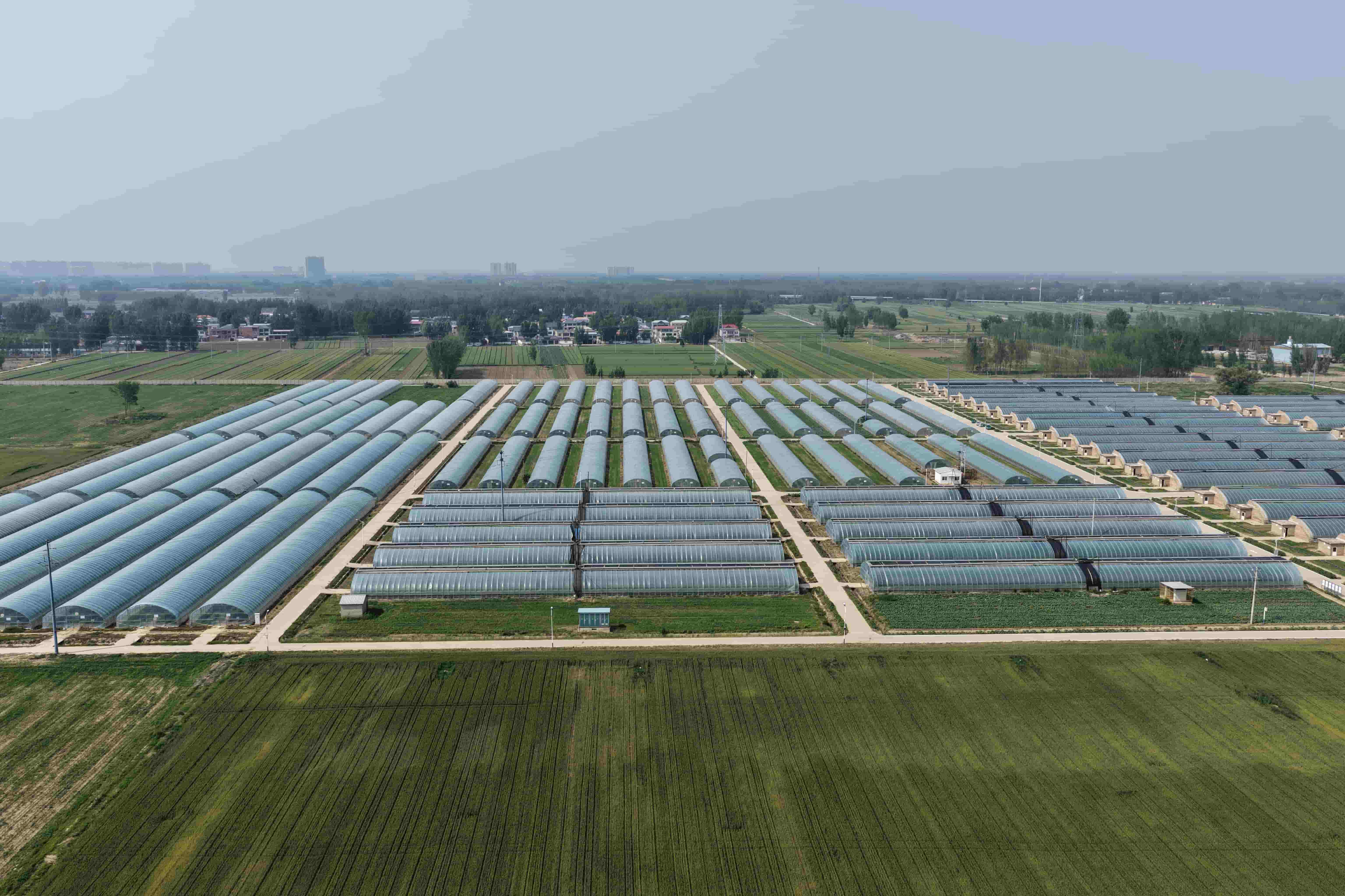 涿州分场大棚航拍图 扎呼赫尼摄.jpg 金贝官网