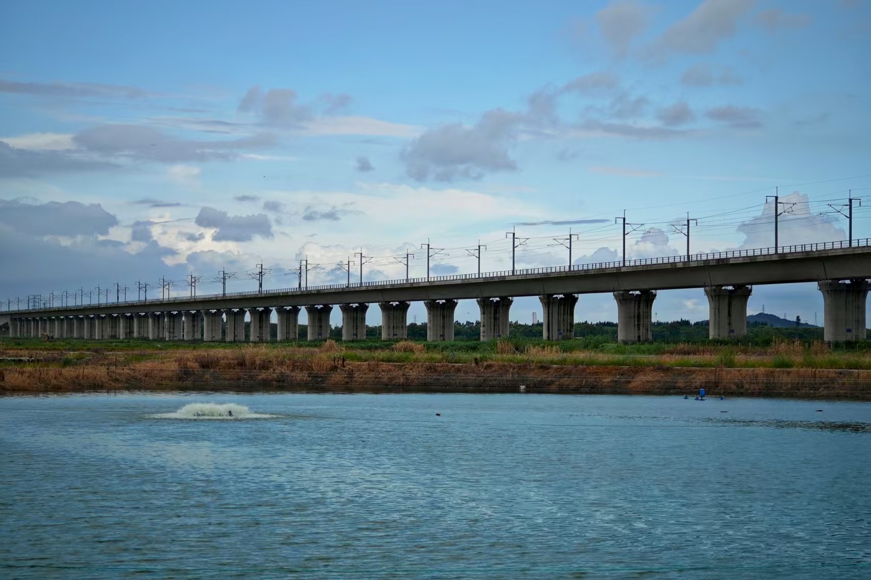 改造一新的钱山漾鱼塘 王猛.jpg 金贝官网