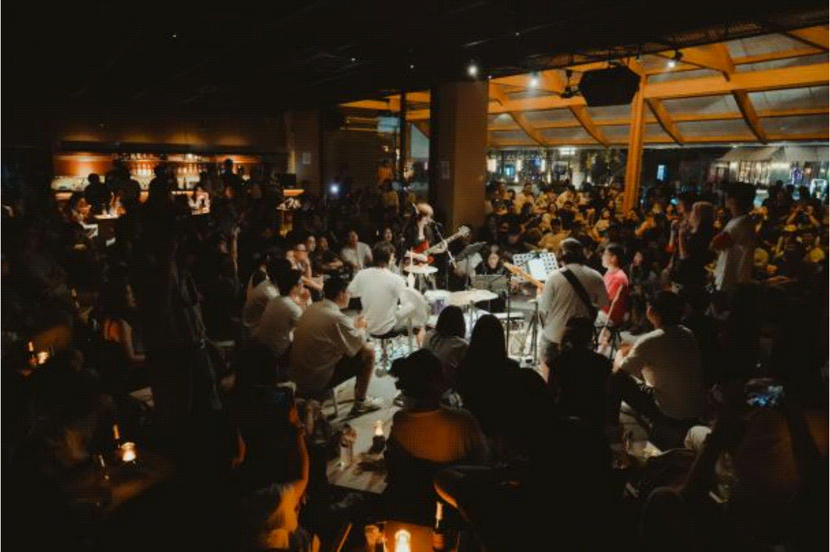 未命名.gif 金贝官网