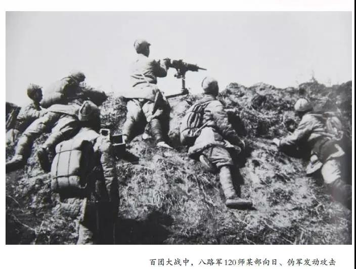 金贝官网