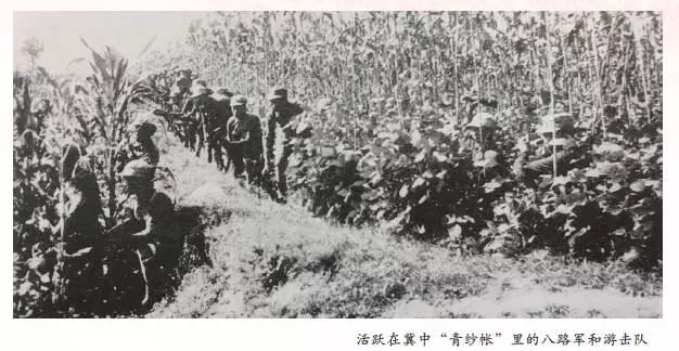 金贝官网