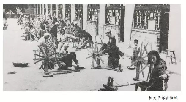 金贝官网