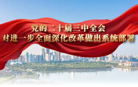 金贝官网