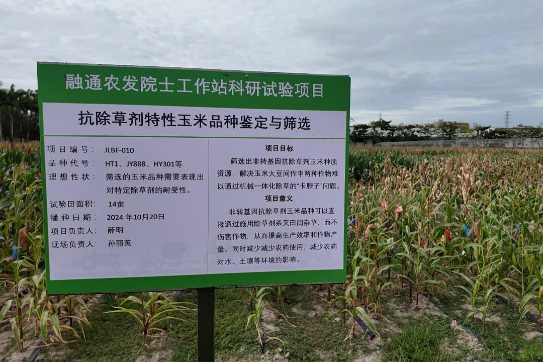 金贝官网