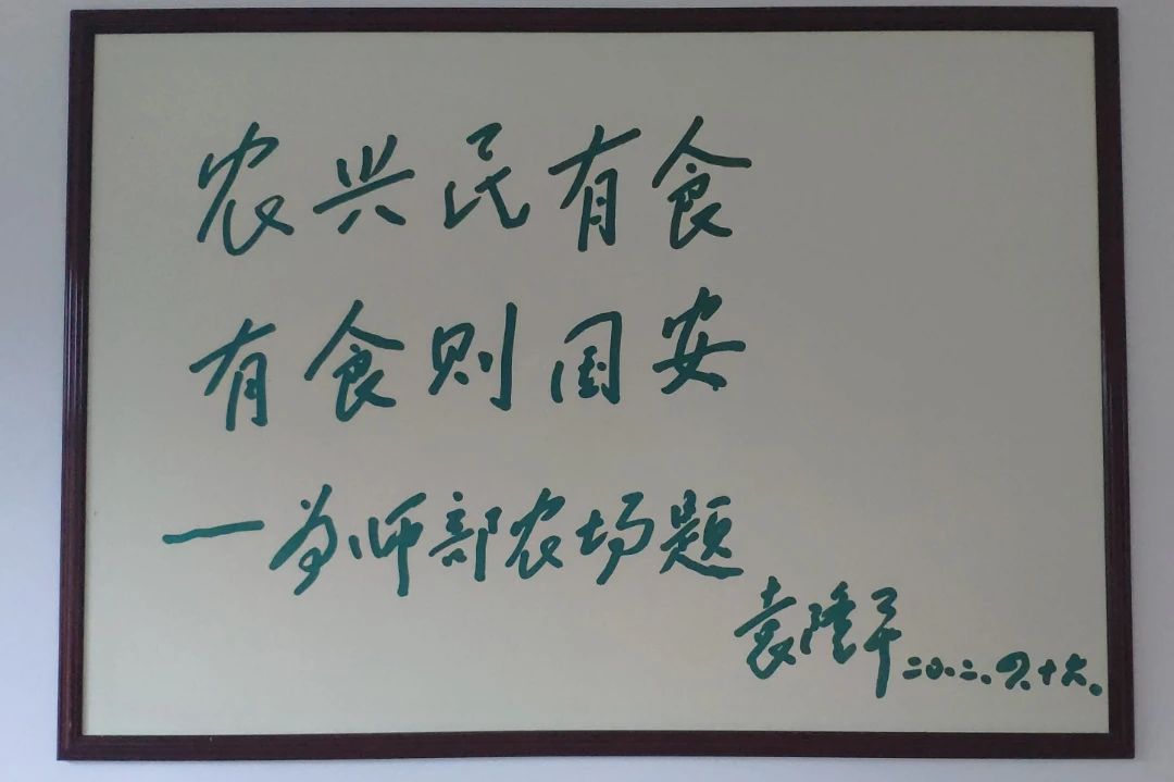 金贝官网