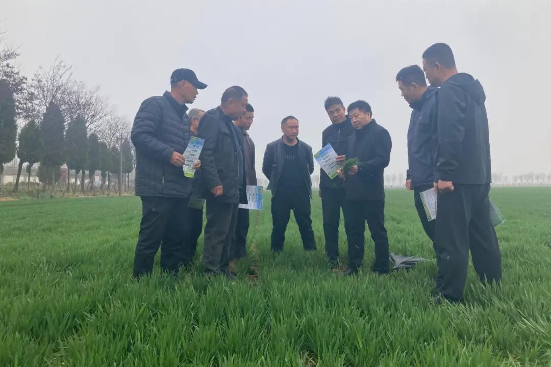 金贝官网