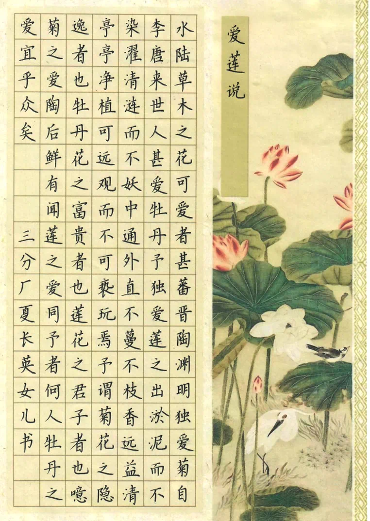 金贝官网