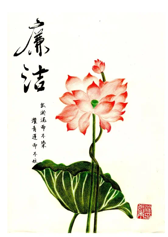 金贝官网