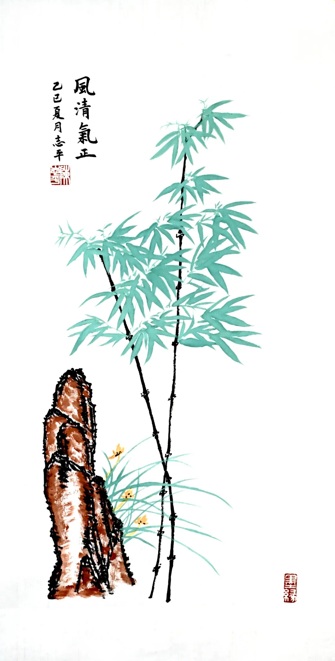 金贝官网