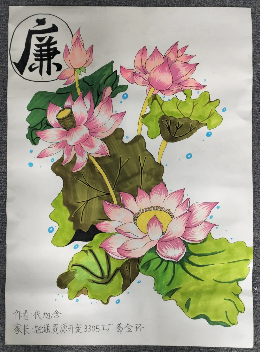 金贝官网