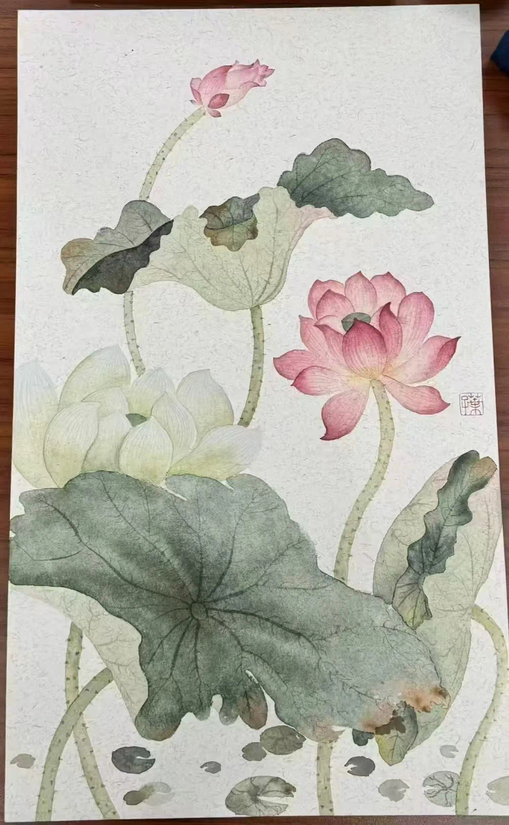 金贝官网