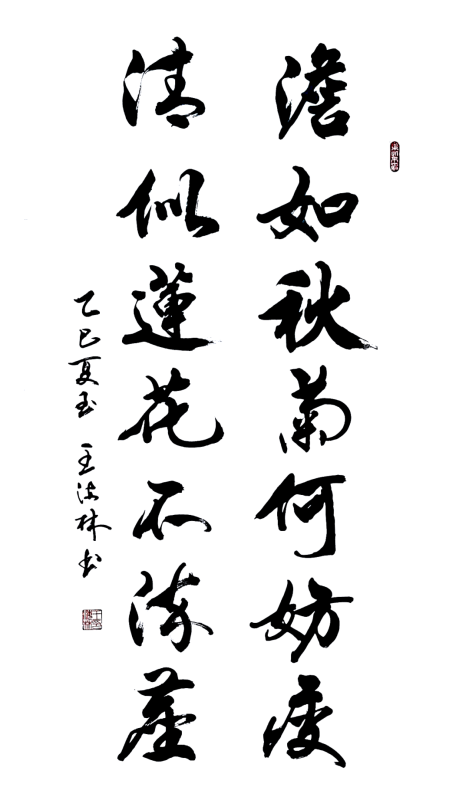 金贝官网