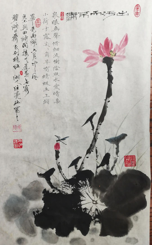 金贝官网