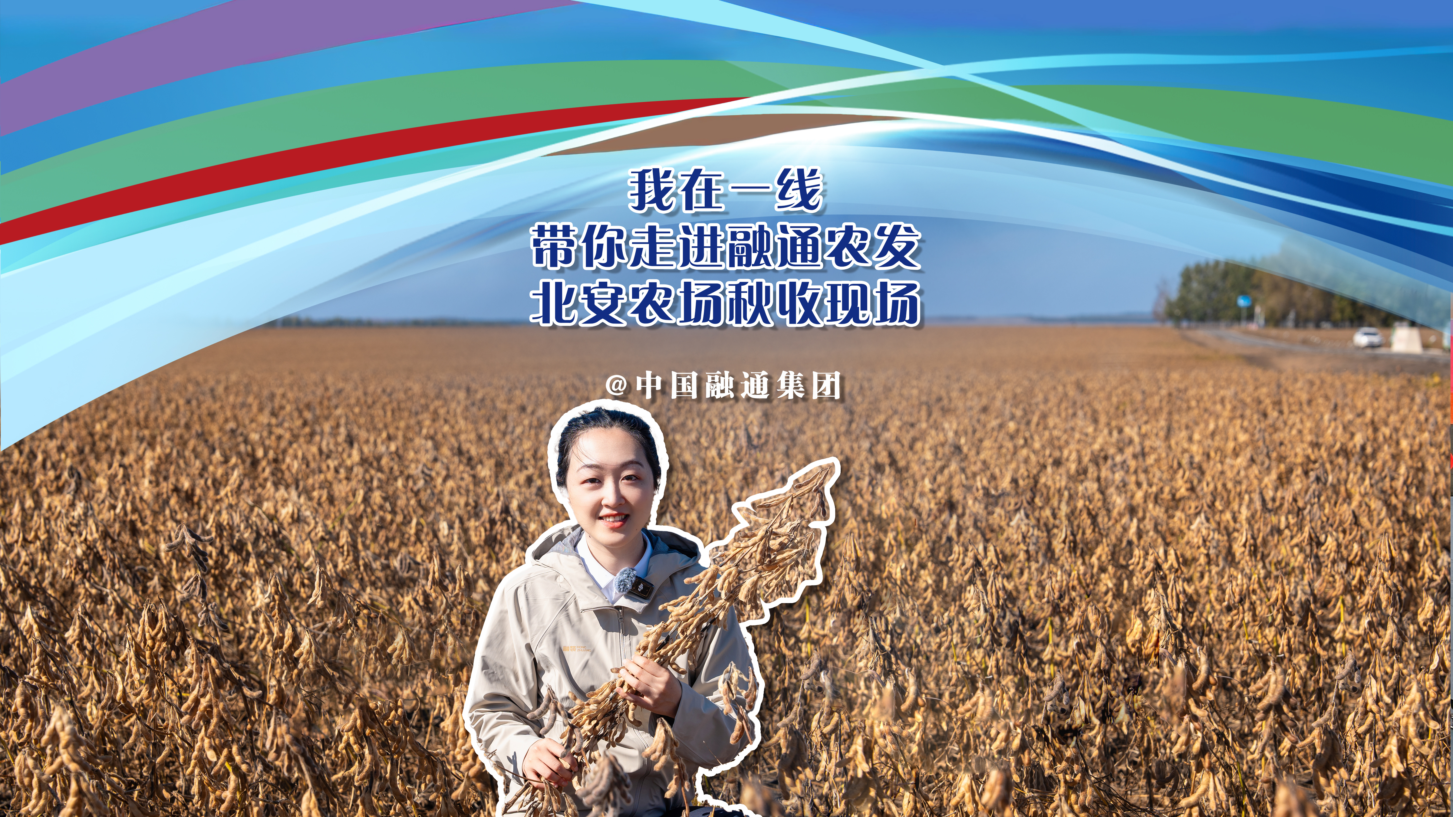 金贝官网