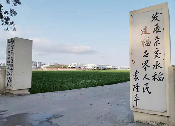 金贝官网
