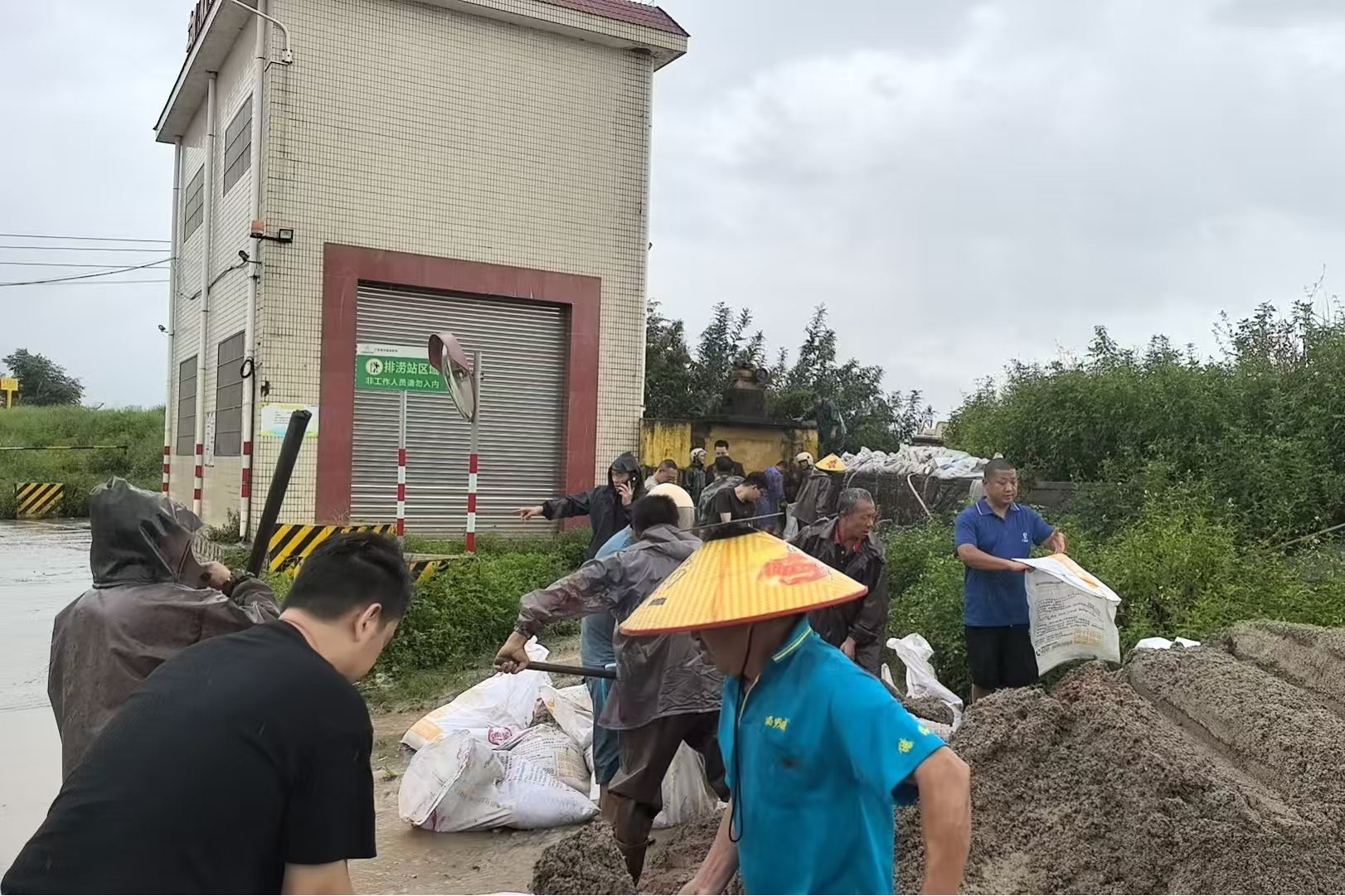 金贝官网