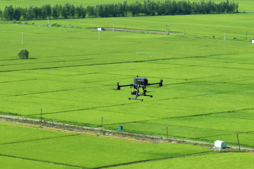 金贝官网