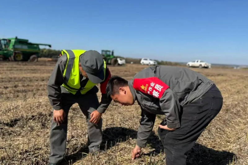 金贝官网
